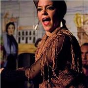 Clases particulares o grupales de Flamenco o Sevillanas
